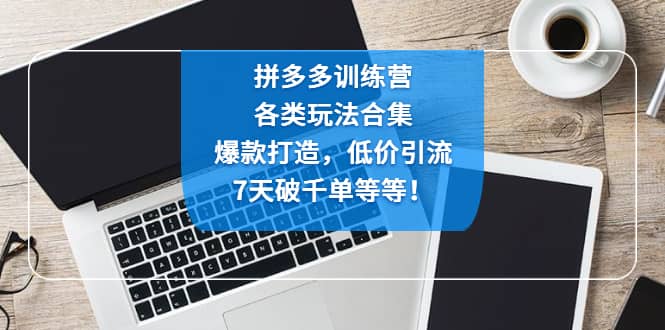 拼多多训练营：各玩法合集，爆款打造，低价引流，7天破千单等等-宝籍资源