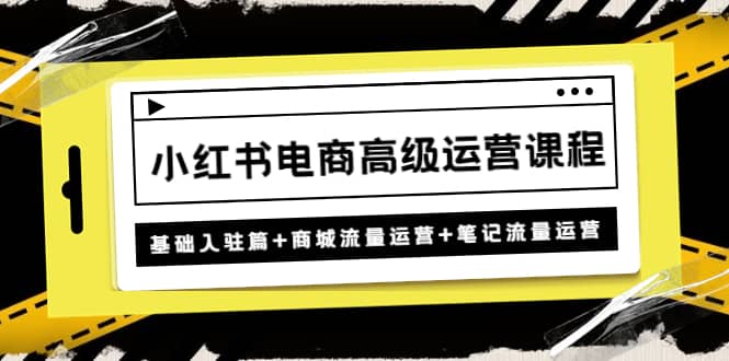 小红书电商高级运营课程：基础入驻篇+商城流量运营+笔记流量运营-宝籍资源