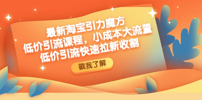 最新淘宝引力魔方低价引流实操：小成本大流量-宝籍资源