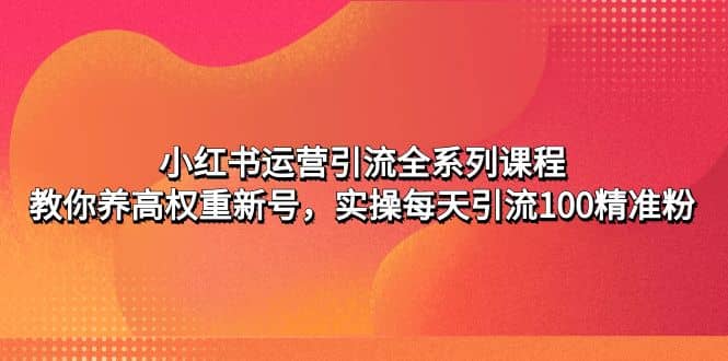 小红书运营引流全系列课程：教你养高权重新号-宝籍资源