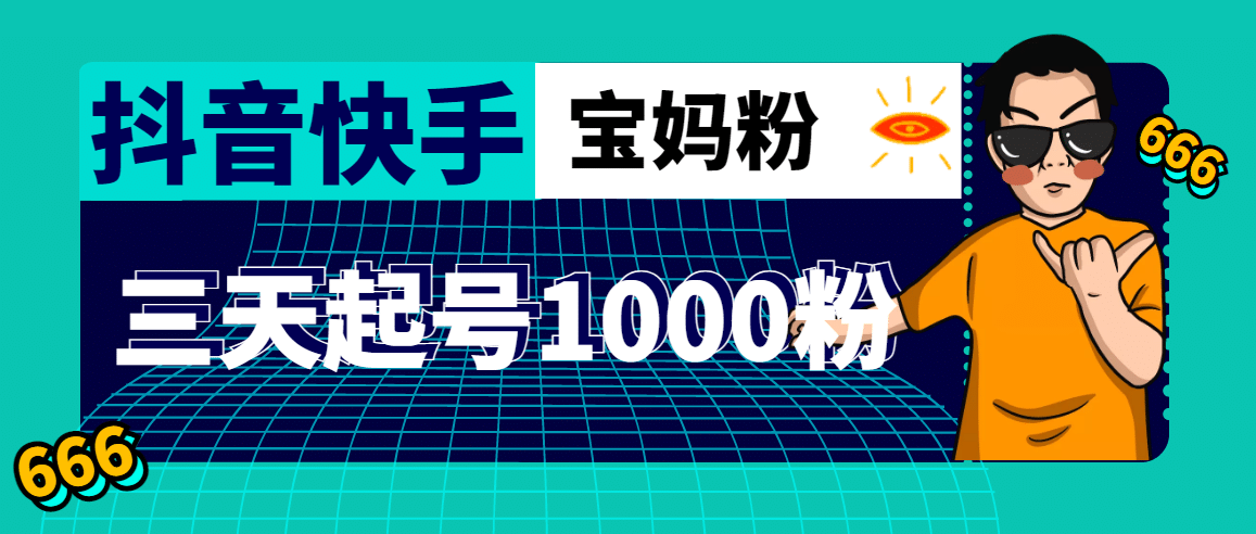 抖音快手三天起号涨粉1000宝妈粉丝的核心方法【详细玩法教程】-宝籍资源