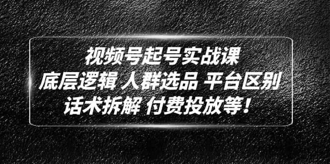 视频号起号实战课：底层逻辑 人群选品 平台区别 话术拆解 付费投放等-宝籍资源