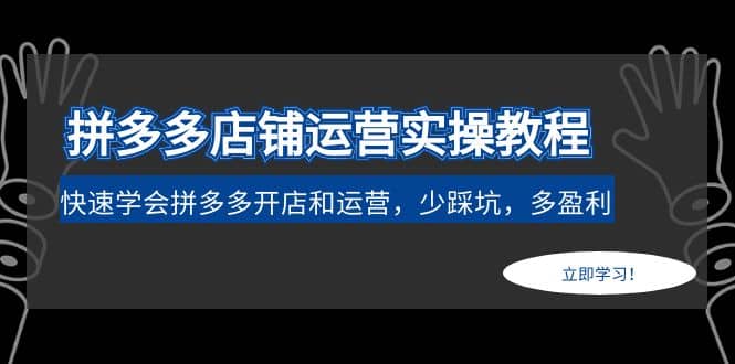 拼多多店铺运营实操教程：快速学会拼多多开店和运营，少踩坑，多盈利-宝籍资源