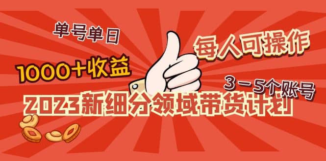 2023新细分领域带货计划：单号单日1000+收益不难，每人可操作3-5个账号-宝籍资源