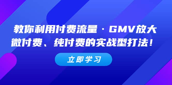 教你利用付费流量·GMV放大，微付费、纯付费的实战型打法-宝籍资源