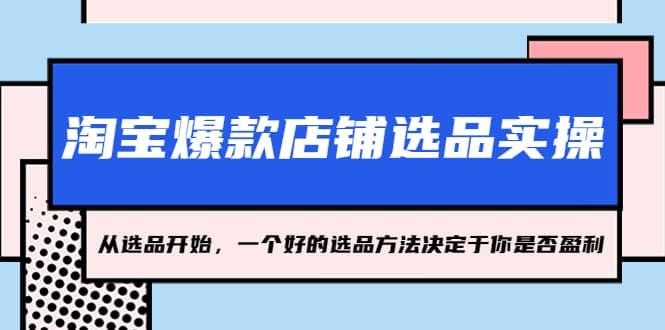 淘宝爆款店铺选品实操，2023从选品开始，一个好的选品方法决定于你是否盈利-宝籍资源