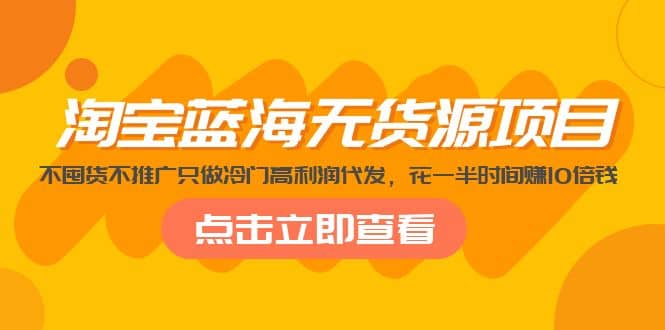 淘宝蓝海无货源项目，不囤货不推广只做冷门高利润代发-宝籍资源