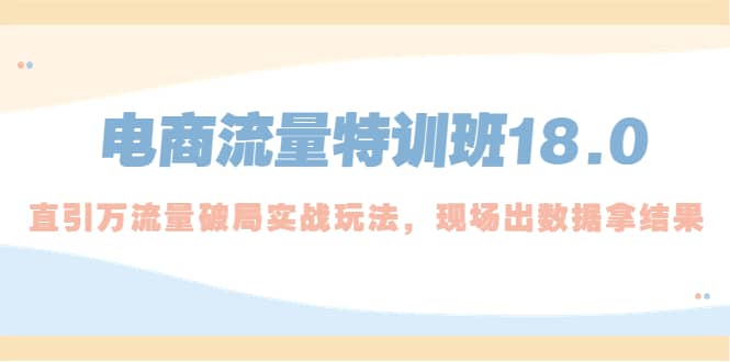 电商流量特训班18.0，直引万流量破局实操玩法，现场出数据拿结果-宝籍资源