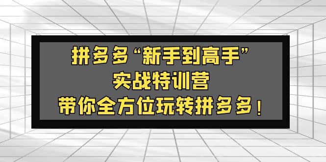 拼多多“新手到高手”实战特训营：带你全方位玩转拼多多-宝籍资源