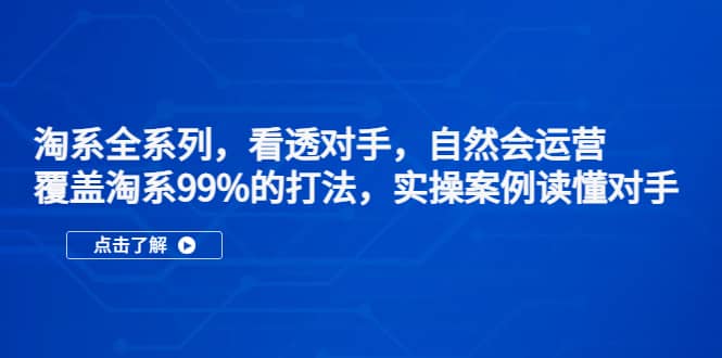 淘系全系列，看透对手，自然会运营，覆盖淘系99%·打法，实操案例读懂对手-宝籍资源