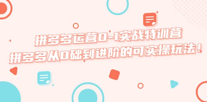 拼多多运营0-1实战特训营，拼多多从0础到进阶的可实操玩法-宝籍资源