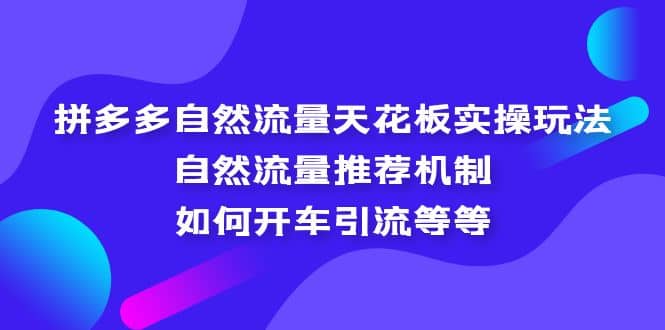 拼多多自然流量天花板实操玩法：自然流量推荐机制，如何开车引流等等-宝籍资源