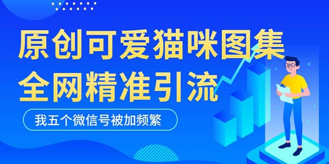 黑科技纯原创可爱猫咪图片，全网精准引流，实操5个VX号被加频繁-宝籍资源