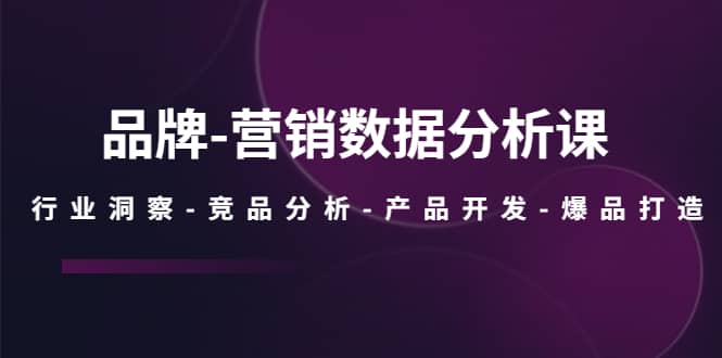 品牌-营销数据分析课，行业洞察-竞品分析-产品开发-爆品打造-宝籍资源