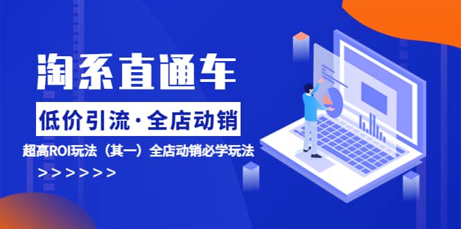 淘系直通车《低价·引流 全店·动销》超高ROI玩法（其一）全店动销必学玩法-宝籍资源