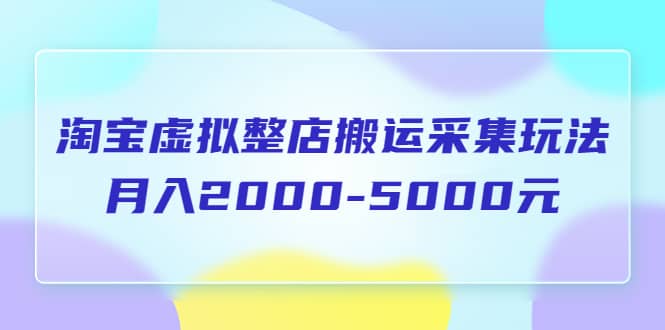 淘宝虚拟整店搬运采集玩法分享课：月入2000-5000元（5节课）-宝籍资源