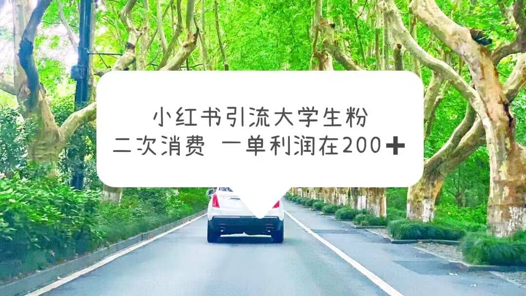 小红书引流大学生粉，变现项目，一单利润在200+（教程+资源）-宝籍资源