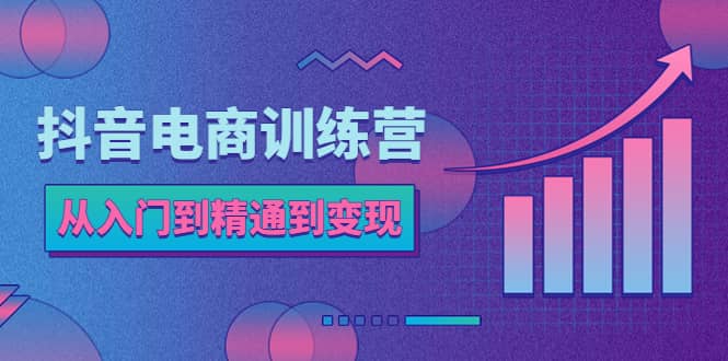 抖音电商训练营：从入门到精通，从账号定位到流量变现，抖店运营实操-宝籍资源