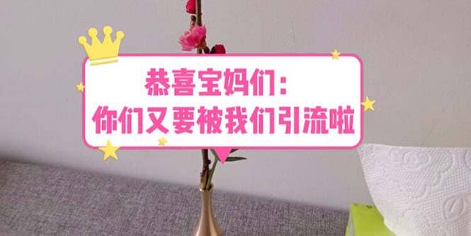 恭喜宝妈们：你们又要被我们引流了（教程+222g资料）-宝籍资源