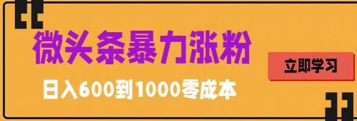 微头条暴力涨粉技巧搬运文案就能涨几万粉丝，简单0成本，日赚600-宝籍资源