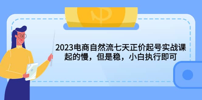 2023电商自然流七天正价起号实战课：起的慢，但是稳，小白执行即可-宝籍资源