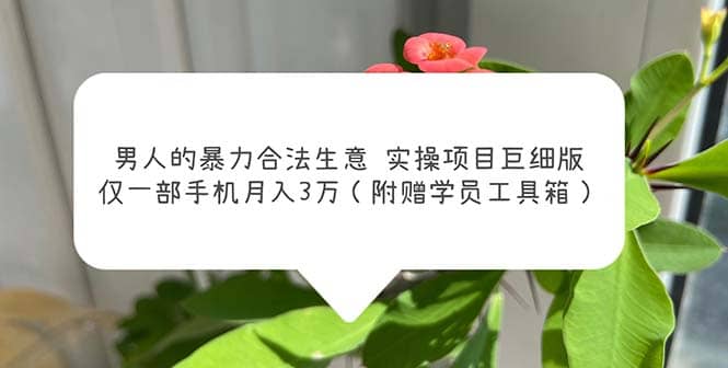 男人的暴力合法生意实操项目巨细版：仅一部手机月入3w（附赠学员工具箱）-宝籍资源