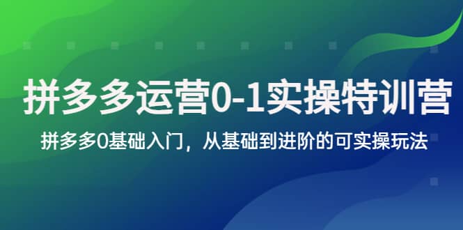 拼多多-运营0-1实操训练营，拼多多0基础入门，从基础到进阶的可实操玩法-宝籍资源