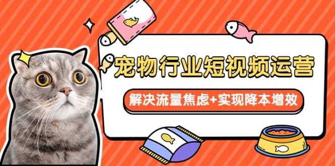 宠物/行业短视频运营 流量增长的一层窗户纸 解决流量焦虑+实现降本增效-宝籍资源