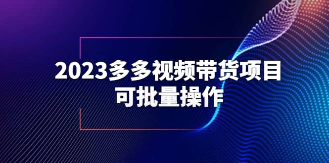 2023多多视频带货项目，可批量操作【保姆级教学】-宝籍资源