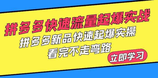 拼多多-快速流量起爆实战，拼多多新品快速起爆实操，看完不走弯路-宝籍资源