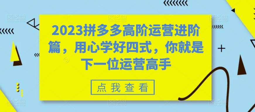2023拼多多高阶运营进阶篇，用心学好四式，你就是下一位运营高手-宝籍资源