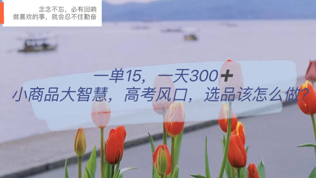 一单15，一天300+，小商品大智慧，高考风口，选品该怎么布局-宝籍资源