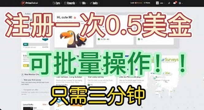 国外项目注册一次0.5美金 只需三分钟无脑操作 可批量放大 小白工作室福利-宝籍资源