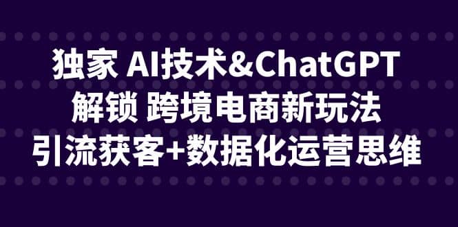 独家 AI技术ChatGPT解锁 跨境电商新玩法，引流获客+数据化运营思维-宝籍资源