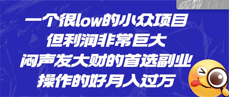 一个很low的小众项目，但利润非常巨大，闷声发大财的首选副业，月入过万-宝籍资源