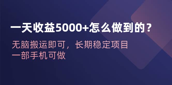 一天收益5000+怎么做到的？无脑搬运即可，长期稳定项目，一部手机可做-宝籍资源
