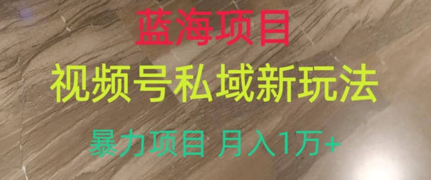 蓝海项目，视频号私域新玩法，暴力项目月入1万+【揭秘】-宝籍资源