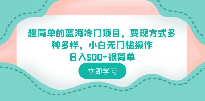 超简单的蓝海冷门项目，变现方式多种多样，小白无门槛操作日入500+很简单-宝籍资源