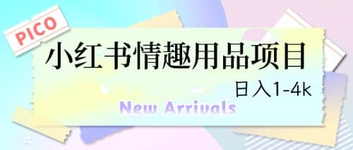 最新小红书情趣用品项目，日入1-4k-宝籍资源