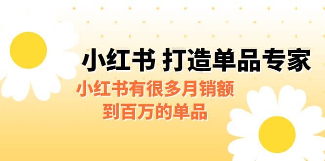 某公众号付费文章《小红书 打造单品专家》小红书有很多月销额到百万的单品-宝籍资源