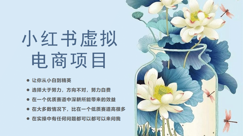 小红书虚拟电商从0到1，让你从小白到精英（20节实操课程）-宝籍资源