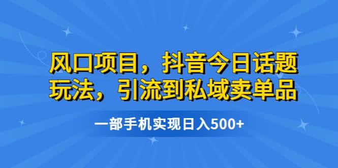 风口项目，抖音今日话题玩法，引流到私域卖单品，一部手机实现日入500+-宝籍资源