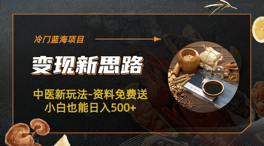 冷门蓝海项目-中医新玩法-冷门蓝海项目-中医新玩法-资料免费送小白也能日入500+500+-宝籍资源
