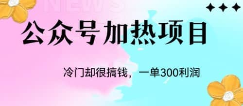 冷门公众号加热项目，一单利润300+-宝籍资源
