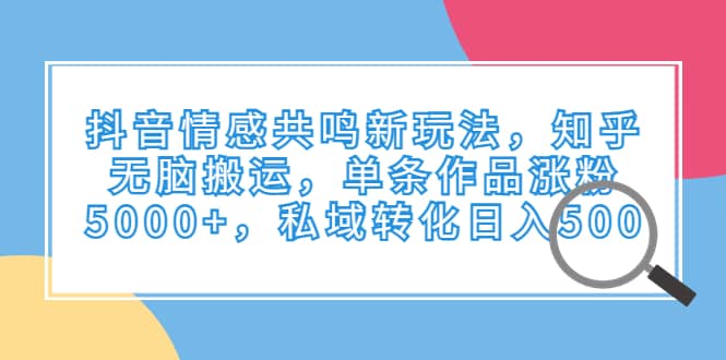 抖音情感共鸣新玩法，知乎无脑搬运，单条作品涨粉5000+，私域转化日入500-宝籍资源