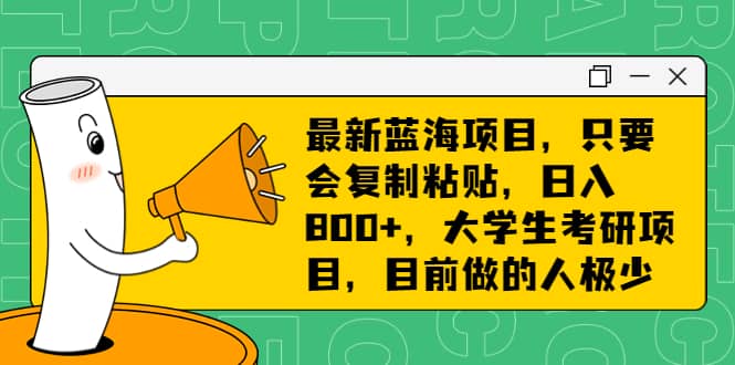 最新蓝海项目，只要会复制粘贴，日入800+，大学生考研项目，目前做的人极少-宝籍资源