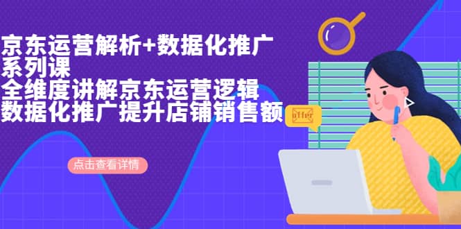 京东运营解析与数据化推广系列课，全维度讲解京东运营逻辑+数据化推广提升店铺销售额-宝籍资源