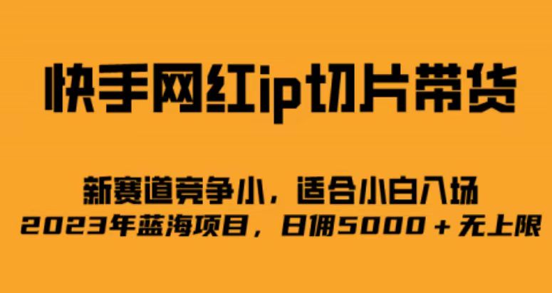 快手网红ip切片新赛道，竞争小事，适合小白 2023蓝海项目-宝籍资源