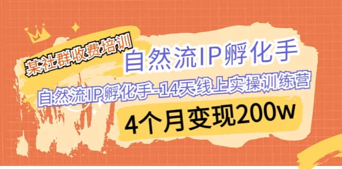 某社群收费培训：自然流IP 孵化手-14天线上实操训练营 4个月变现200w-宝籍资源