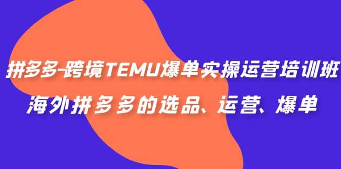 拼多多-跨境TEMU爆单实操运营培训班，海外拼多多的选品、运营、爆单-宝籍资源